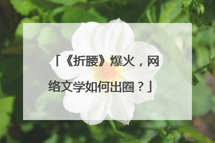 《折腰》爆火，网络文学如何出圈？
