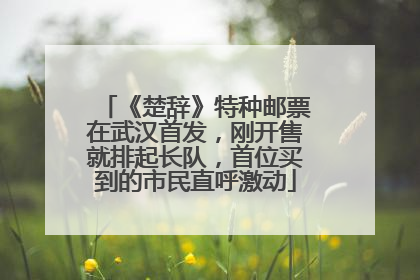 《楚辞》特种邮票在武汉首发，刚开售就排起长队，首位买到的市民直呼激动