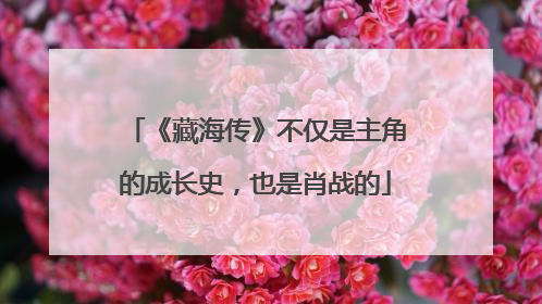 《藏海传》不仅是主角的成长史，也是肖战的