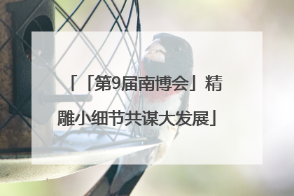 「第9届南博会」精雕小细节共谋大发展