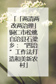 「两清两改两治理」铜仁市松桃自治县石梁乡：“四治”工作法打造和美新农村