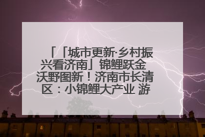 「城市更新·乡村振兴看济南」锦鲤跃金 沃野图新！济南市长清区：小锦鲤大产业 游出农旅新风景