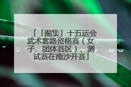 「图集」十五运会武术套路资格赛（女子、团体赛区）、测试赛在南沙开赛