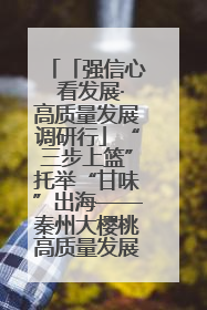 「强信心 看发展·高质量发展调研行」“三步上篮”托举“甘味”出海——秦州大樱桃高质量发展动作分解