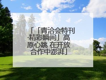 「青洽会特刊·精彩瞬间」高原心跳 在开放合作中澎湃