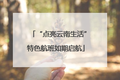 “点亮云南生活”特色航班如期启航