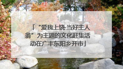 “爱我上饶·当好主人翁”为主题的文化赶集活动在广丰东阳乡开市