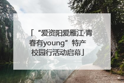 “爱资阳爱雁江·青春有young”特产校园行活动启幕