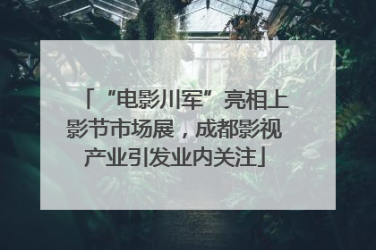 “电影川军”亮相上影节市场展，成都影视产业引发业内关注