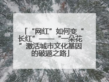 “网红”如何变“长红”——“一朵花”激活城市文化基因的破题之路