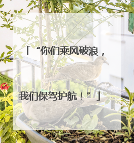 “你们乘风破浪，我们保驾护航！”