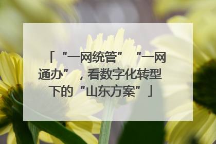 “一网统管”“一网通办”，看数字化转型下的“山东方案”