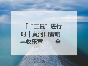 “三夏”进行时｜黄河口奏响丰收乐章——全市小麦进入大面积收获高峰期