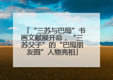 “三苏与巴蜀”书画文献展开幕，“三苏父子”的“巴蜀朋友圈”人物亮相