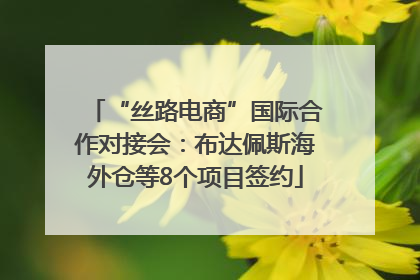 “丝路电商”国际合作对接会：布达佩斯海外仓等8个项目签约