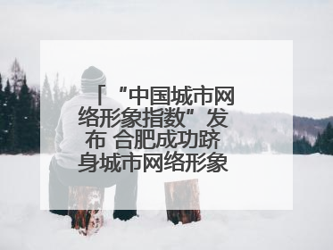 “中国城市网络形象指数”发布 合肥成功跻身城市网络形象榜单第一方阵