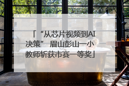 “从芯片视频到AI决策” 眉山彭山一小教师斩获市赛一等奖