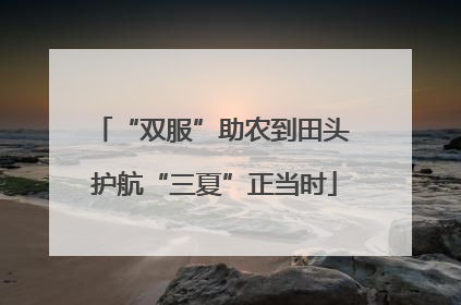 “双服”助农到田头 护航“三夏”正当时