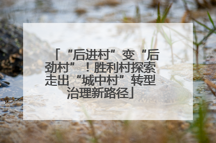 “后进村”变“后劲村”！胜利村探索走出“城中村”转型治理新路径