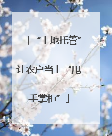 “土地托管”让农户当上“甩手掌柜”