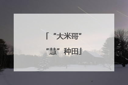 “大米哥”“慧”种田