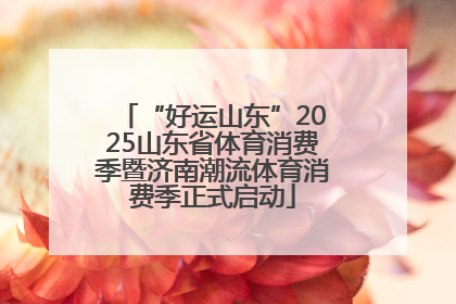 “好运山东”2025山东省体育消费季暨济南潮流体育消费季正式启动