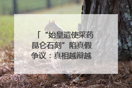 “始皇遣使采药昆仑石刻”陷真假争议：真相越辩越明｜新京报专栏