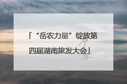 “岳农力量”绽放第四届湖南旅发大会