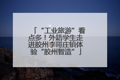 “工业旅游”看点多！外籍学生走进胶州李哥庄镇体验“胶州智造”