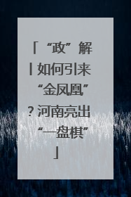 “政”解丨如何引来“金凤凰”？河南亮出“一盘棋”