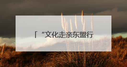 “文化走亲东盟行”再赴越南 广西邕剧粤韵展魅力