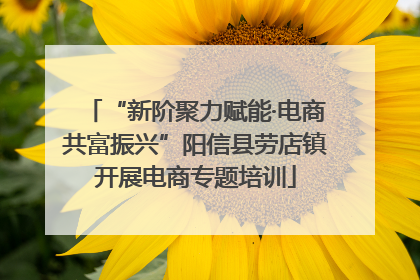 “新阶聚力赋能·电商共富振兴”阳信县劳店镇开展电商专题培训