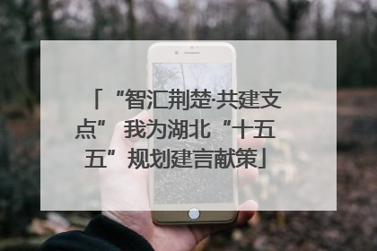 “智汇荆楚·共建支点” 我为湖北“十五五”规划建言献策