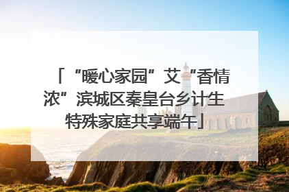 “暖心家园”艾“香情浓”滨城区秦皇台乡计生特殊家庭共享端午