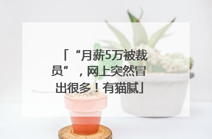 “月薪5万被裁员”，网上突然冒出很多！有猫腻