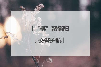 “棋”聚衡阳，交警护航