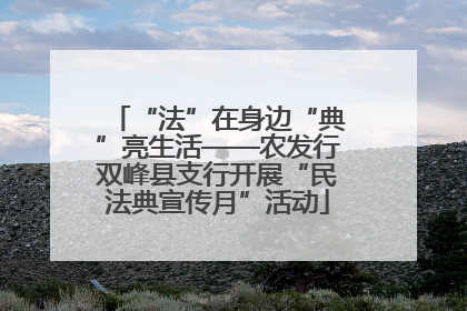 “法”在身边“典”亮生活——农发行双峰县支行开展“民法典宣传月”活动