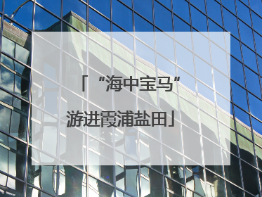 “海中宝马”游进霞浦盐田