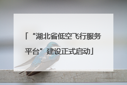 “湖北省低空飞行服务平台”建设正式启动