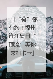“荷”你有约！福州连江夏日“顶流”等你来打卡→