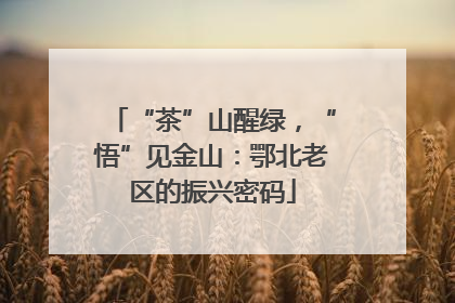 “茶”山醒绿，“悟”见金山：鄂北老区的振兴密码