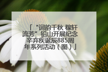 “词韵千秋 稼轩流芳”铅山开展纪念辛弃疾诞辰885周年系列活动（图）