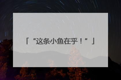 “这条小鱼在乎！”