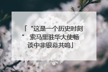 “这是一个历史时刻” 索马里驻华大使畅谈中非银幕共鸣