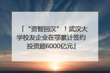 “资智回汉”！武汉大学校友企业在鄂累计签约投资超6000亿元