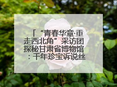 “青春华章·重走西北角”采访团探秘甘肃省博物馆：千年珍宝诉说丝路辉煌
