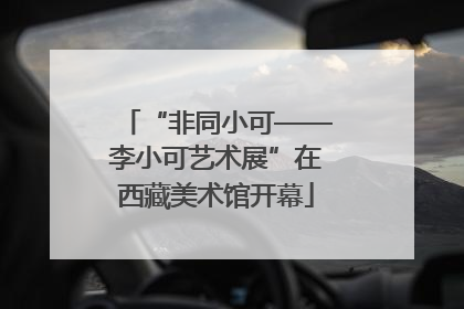 “非同小可——李小可艺术展”在西藏美术馆开幕