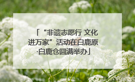 “非遗志愿行 文化进万家”活动在白鹿原·白鹿仓圆满举办