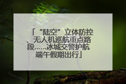 “陆空”立体防控、无人机巡航重点路段……冰城交警护航端午假期出行