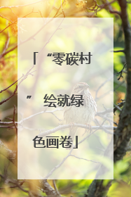 “零碳村” 绘就绿色画卷